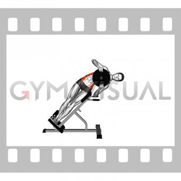 Weighted Plate 45 degrees Side Bend (female)