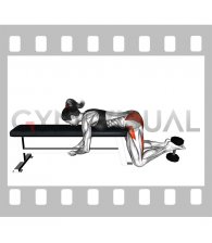 Dumbbell Frog Reverse Hyperextension (on a bench) (female)
