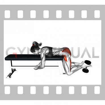 Dumbbell Frog Reverse Hyperextension (on a bench) (female)
