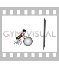 Stability Ball Kneeling Rollout to Wall (female)