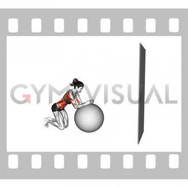 Stability Ball Kneeling Rollout to Wall (female)