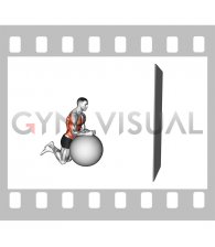 Stability Ball Kneeling Rollout to Wall (male)