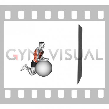 Stability Ball Kneeling Rollout to Wall (male)