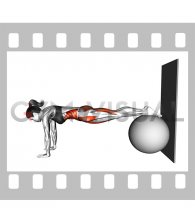 Stability Pull In to Wall (female)