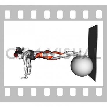 Stability Pull In to Wall (female)