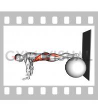 Stability Pull In to Wall (male)