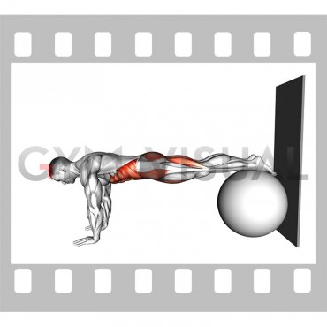 Stability Pull In to Wall (male)