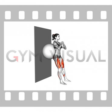 Exercise Ball Wall Squat (female)