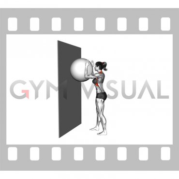 Exercise Ball Serratus Wall Slide (female)