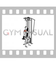 Lever Side Seated Single Arm Neutral Grip Rear Delt Fly (male)