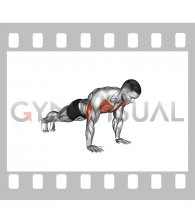Pause Push-up (male)