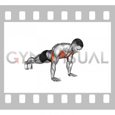 Pause Push-up (male)