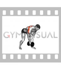 Dumbbell Bent Over Single Arm Lateral Raise (male)
