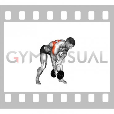 Dumbbell Bent Over Single Arm Lateral Raise (male)