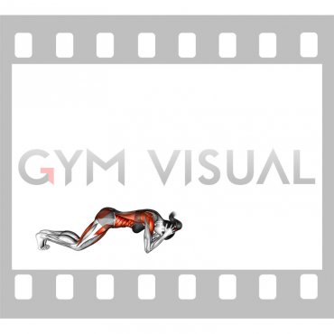 Supported Headstand Yoga Pose Sirsasana (female)