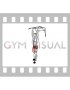 Weighted Hanging Knee Raise (male)