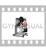 Lever Seated Row (plate loaded) (VERSION 3)