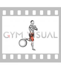 Exercise Ball Single Leg Split Squat