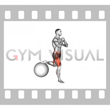 Exercise Ball Single Leg Split Squat