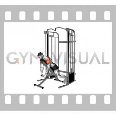 Cable Decline Y Raise