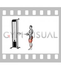 Cable Reverse Lunge (male)