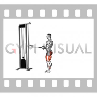 Cable Reverse Lunge (male)