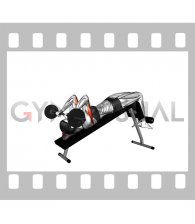 EZ Barbell Decline Triceps Extension (female)