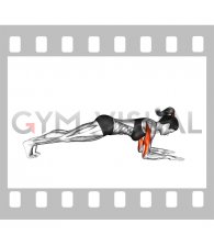 Bodyweight Triceps Extension from Plank Position (female)