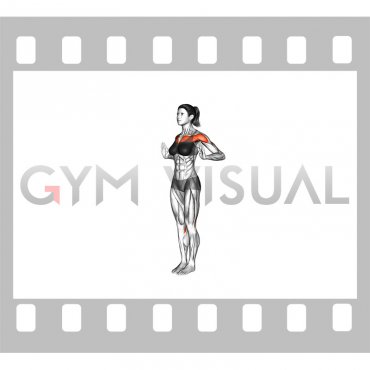 Standing Chest Push Hip Extension Kickback (female)