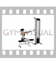 Cable Sitting Bench Face Pull (with rope) (female)