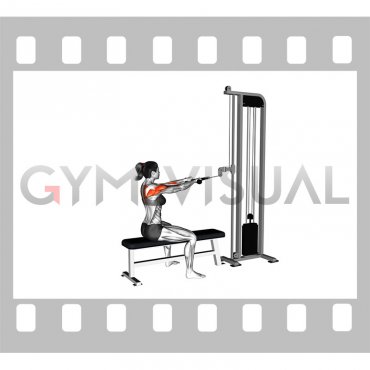 Cable Sitting Bench Face Pull (with rope) (female)