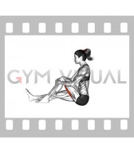 Seated Single Leg Hugging Knee Flexion (female)