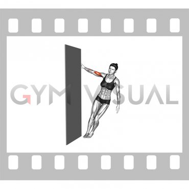 Standing Biceps Curl Door Frame (female)