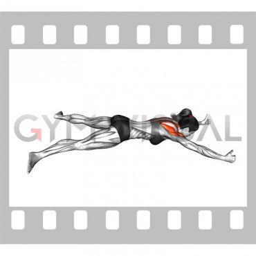 Lying Prone Y Raise (female)