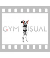 Dumbbell Standing French Press (female)