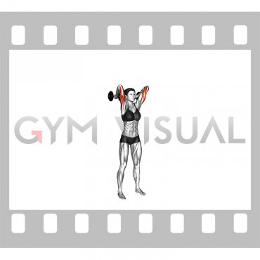 Dumbbell Standing French Press (female)