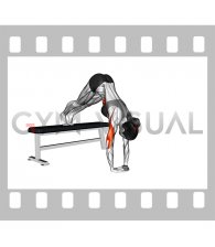 Decline Diamond Pike Push-up (female)