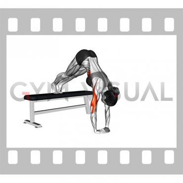 Decline Diamond Pike Push-up (female)