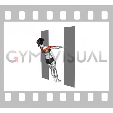 Bodyweight Row in Doorway (female)