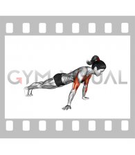 Reverse Push-up (female)