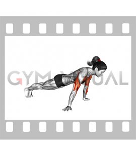 Reverse Push-up (female)