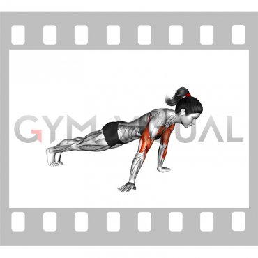 Reverse Push-up (female)