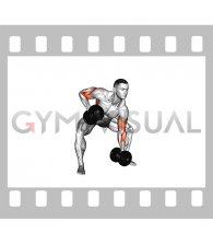 Dumbbell Gorilla Row (male)