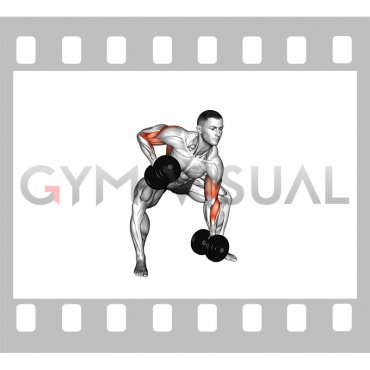 Dumbbell Gorilla Row (male)