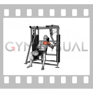 Lever Stack Seated Decline Single Arm Chest Press (male)