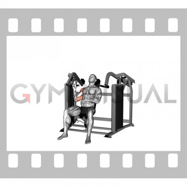 Lever Stack Seated Single Arm Shoulders Press (male)