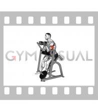 Lever Seated Single Arm Triceps Extension (plate loaded) (male)