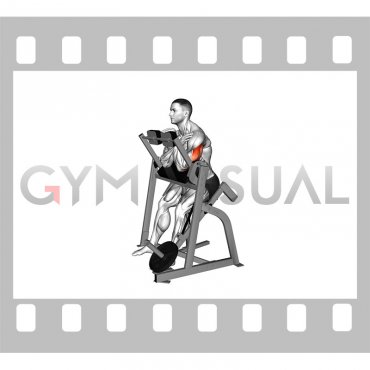 Lever Seated Single Arm Triceps Extension (plate loaded) (male)