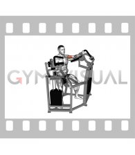 Lever Single Arm Bicep Curl