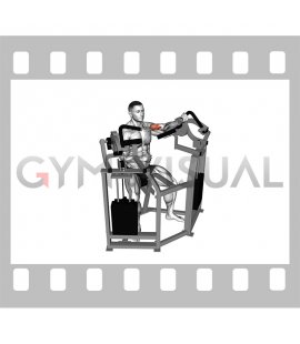 Lever Single Arm Bicep Curl